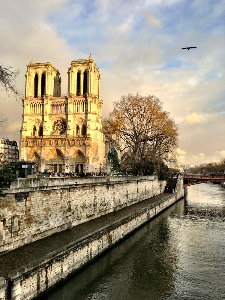 notredameparisfrance_seine