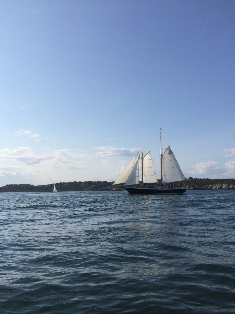 Afternoon Sail with Gansett Cruises