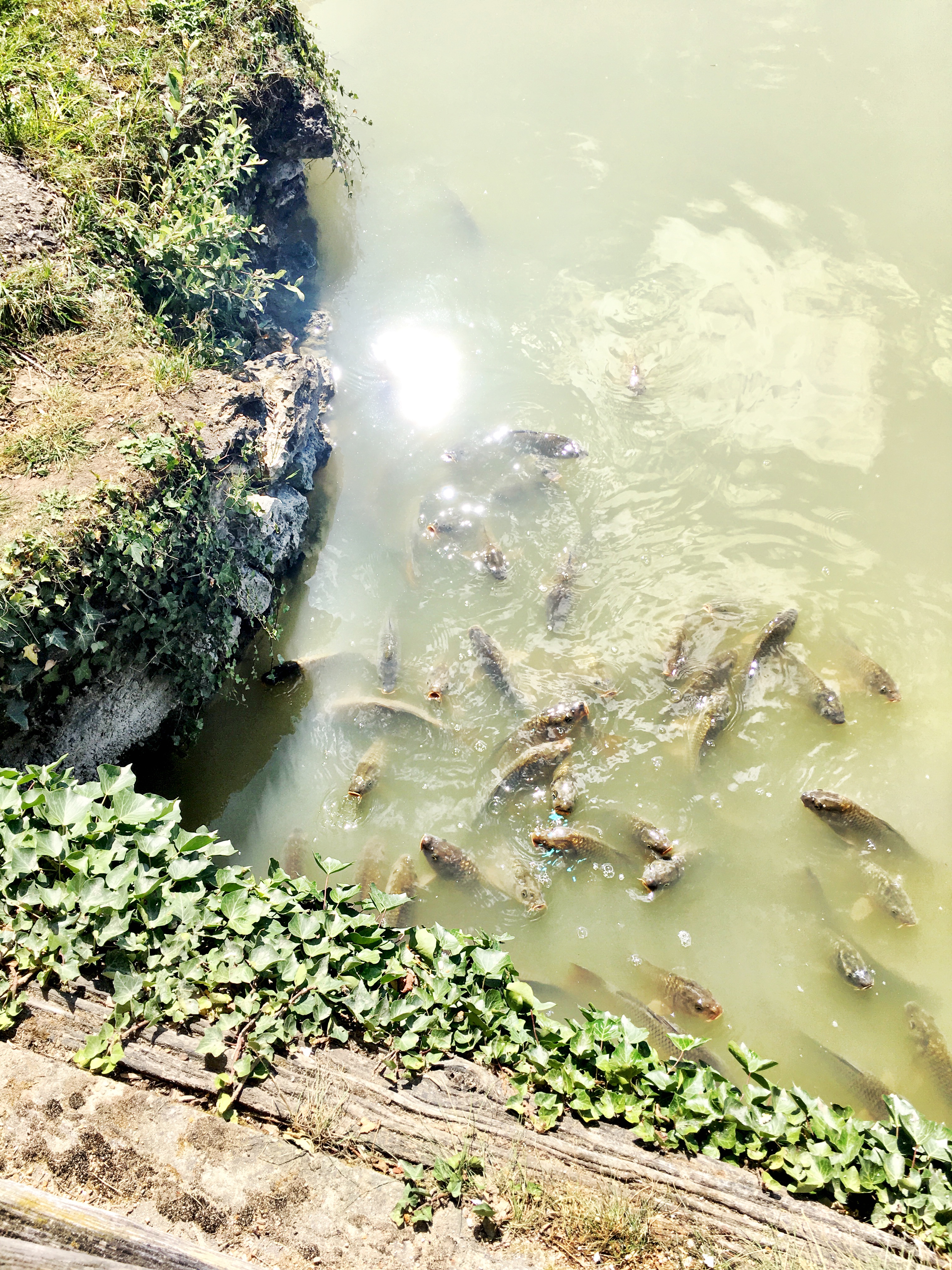 Domaine Marie Antoinette