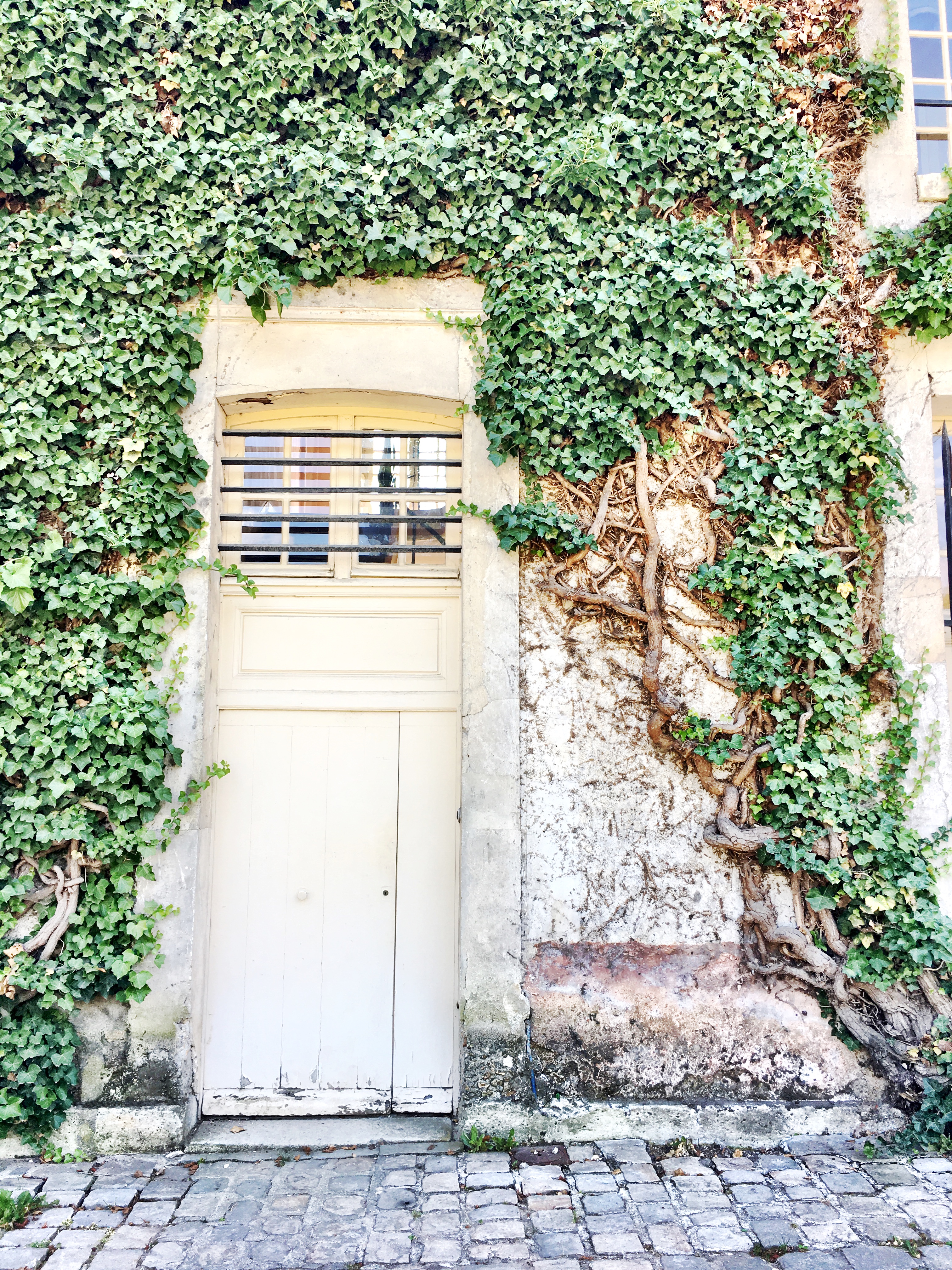 Jardin de Jussieu at Versailles