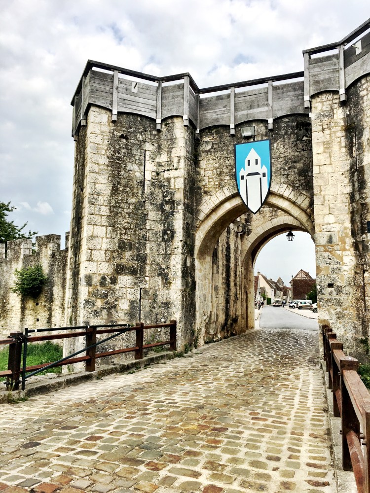 Jouy Gate Provins France