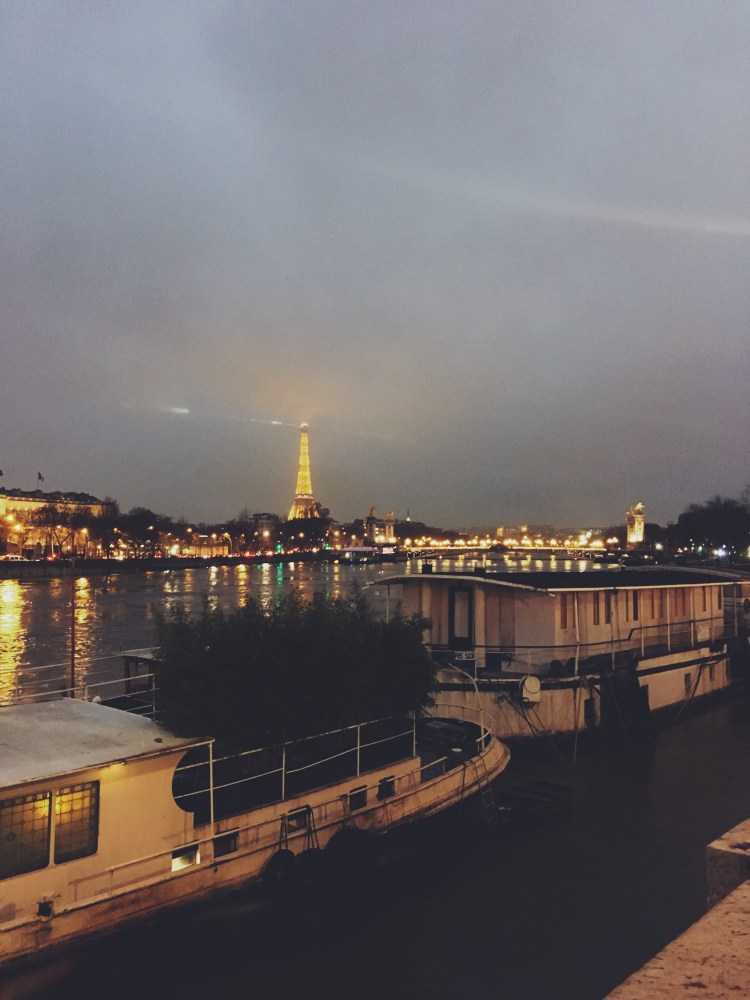 Tour Eiffel Seine River February 2018