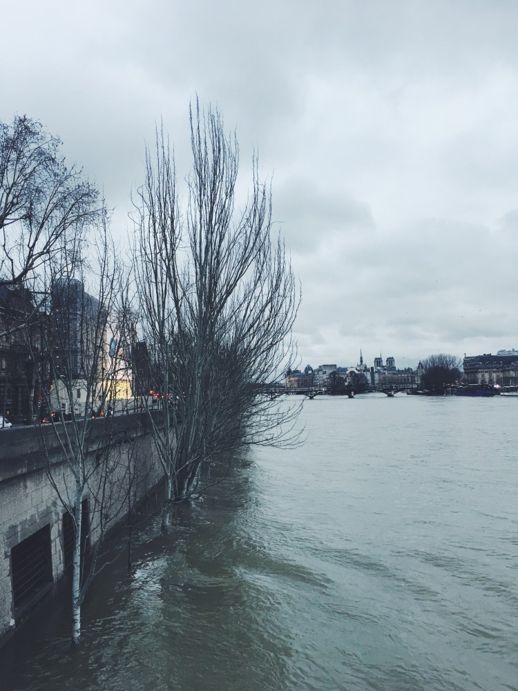 Ile de la Cite Seine River 6