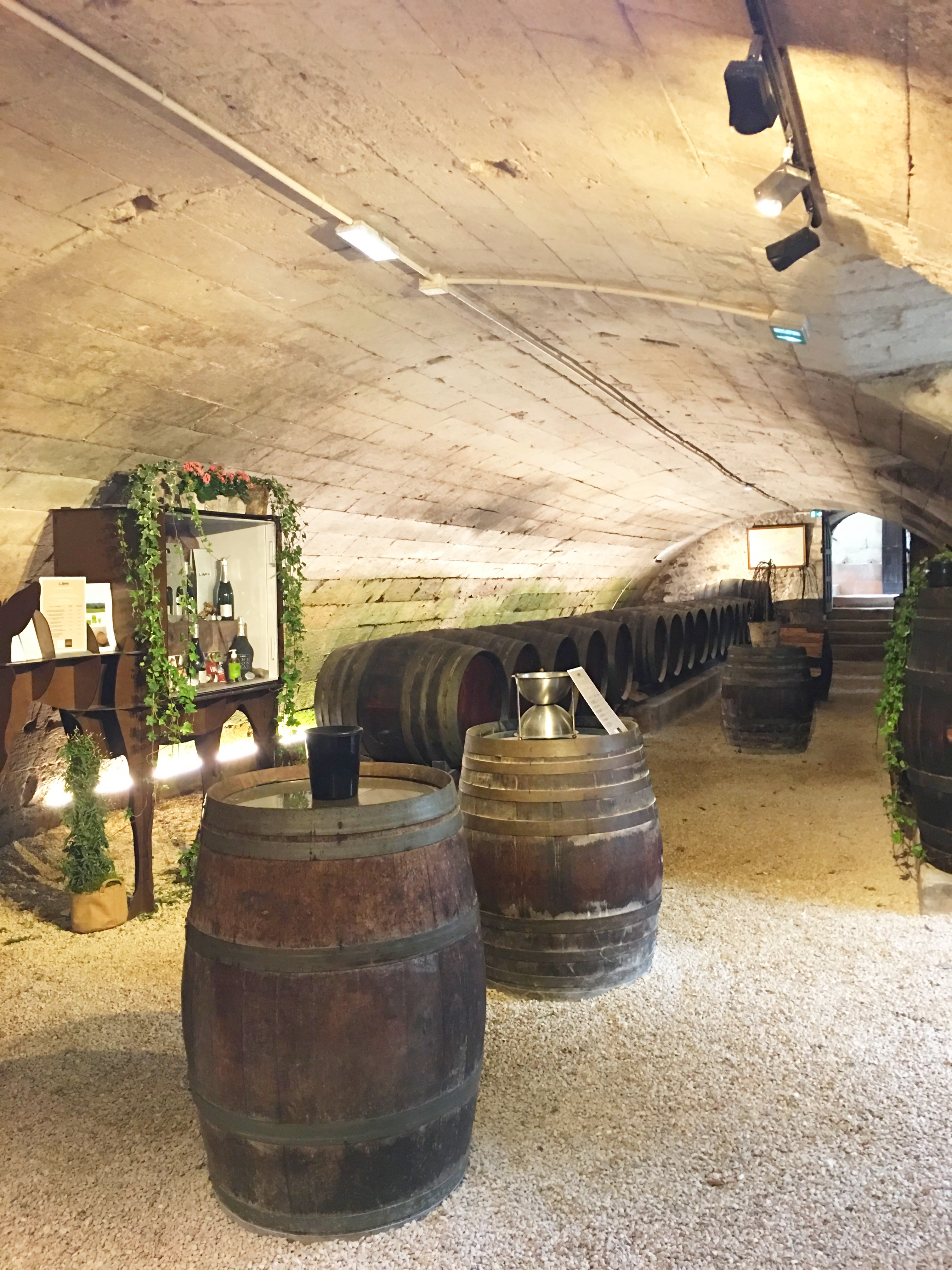 Château de Chenonceau wine cellar