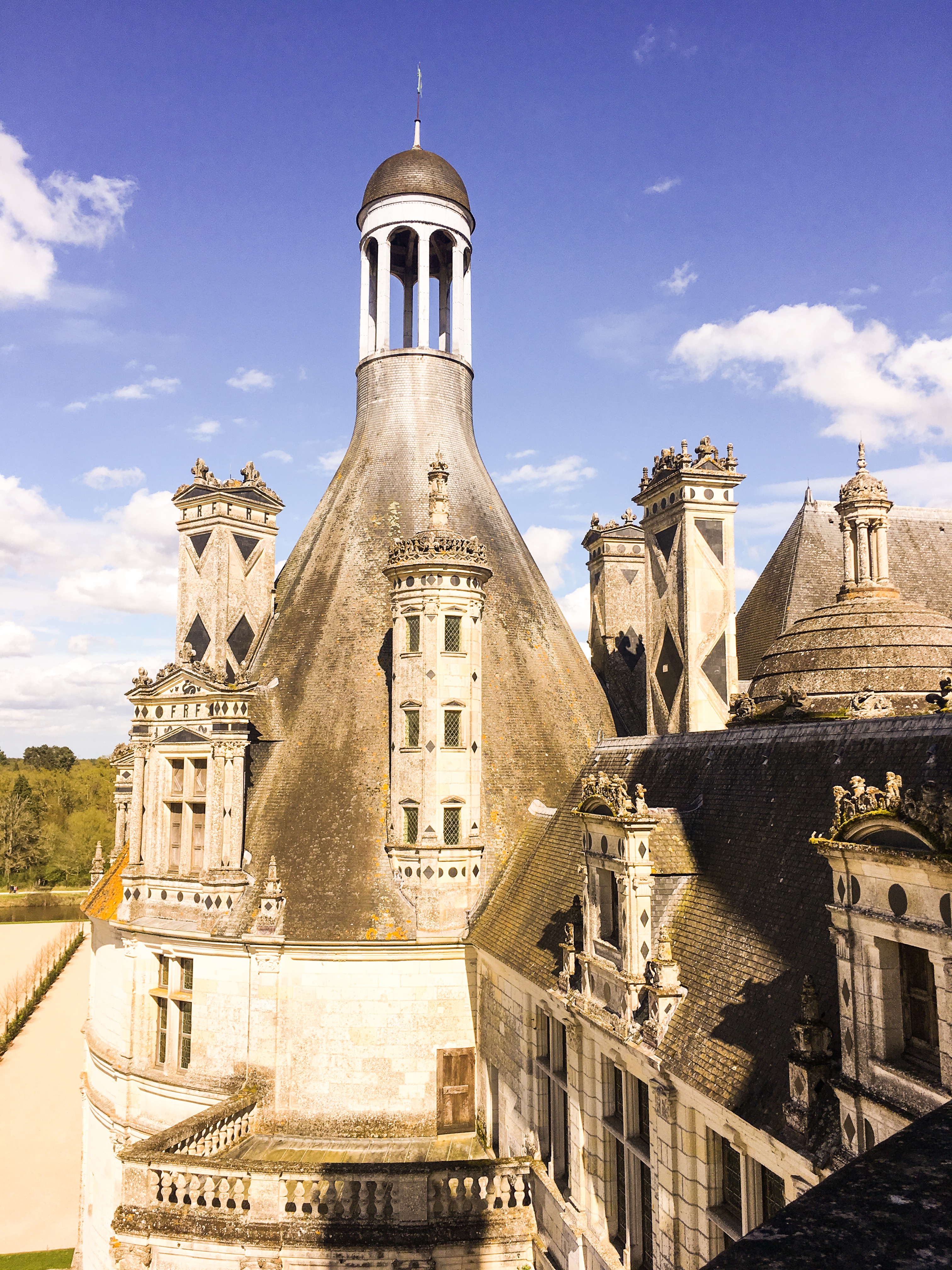 Chateau Chambord chimneys
