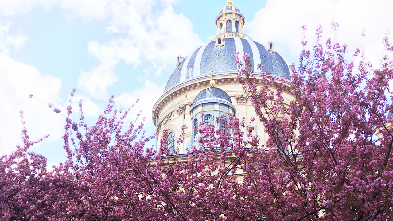 Spring in Paris, France by New England Parisienne
