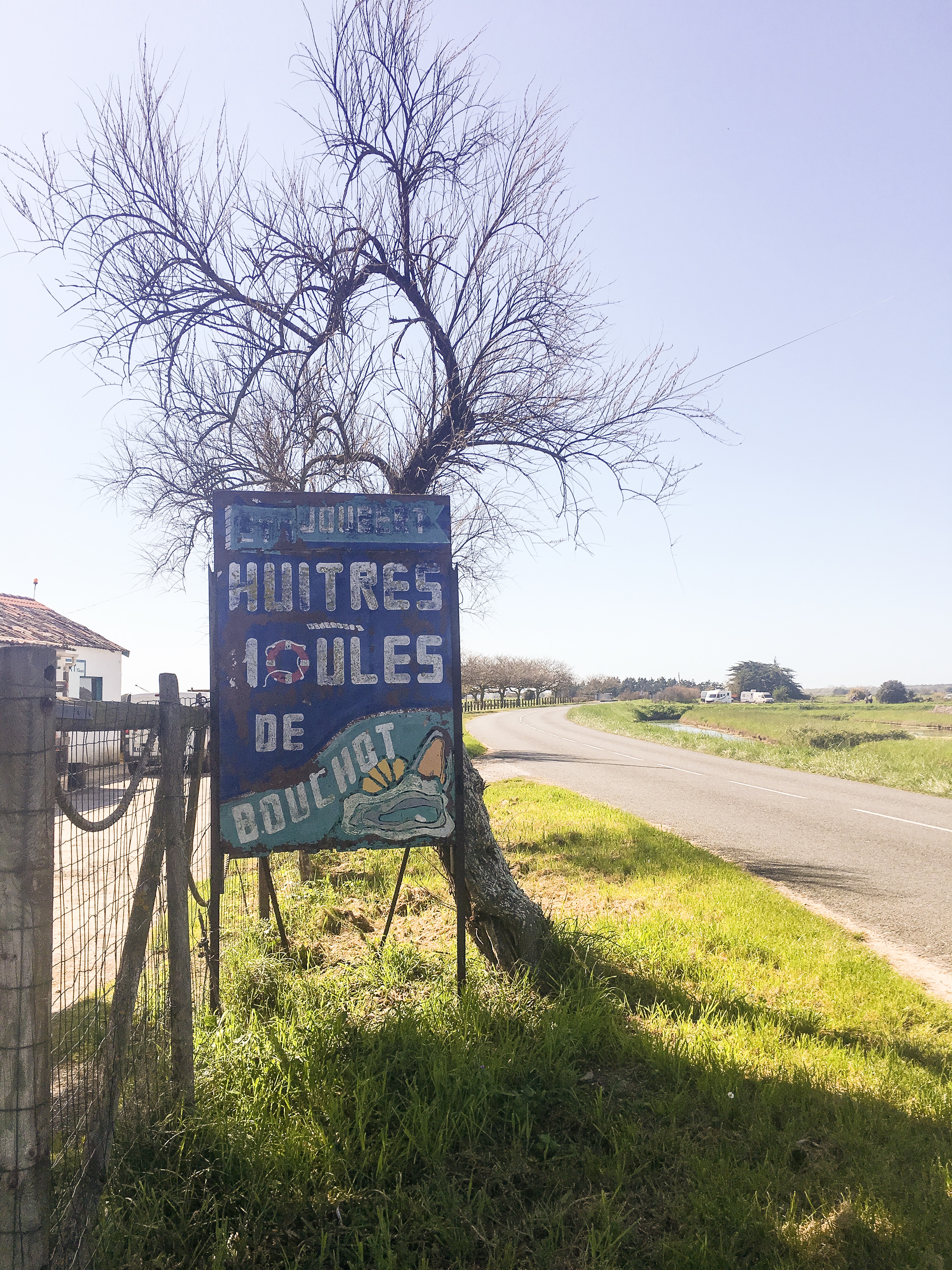 magasin des huitres île d'Oléron France