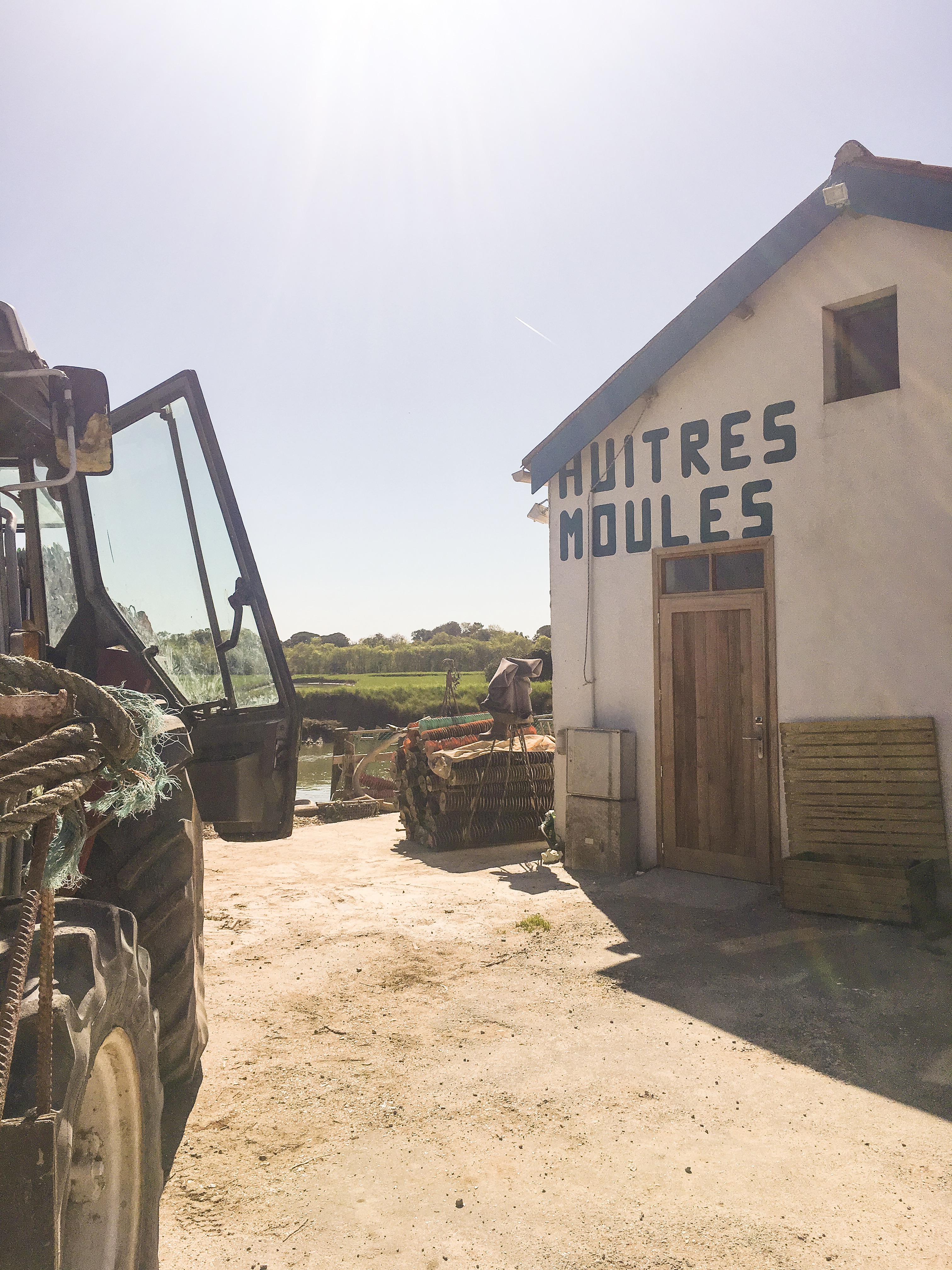 magasin des huitres île d'Oléron France