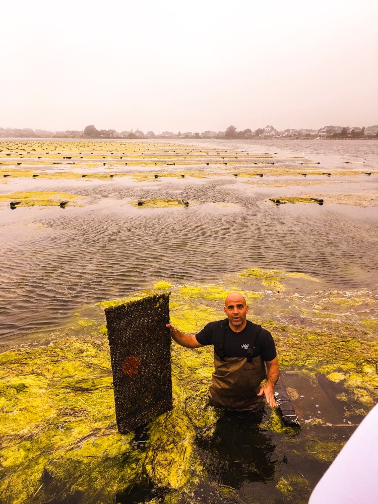 Perry Raso, owner of Matunuck Oyster Farm