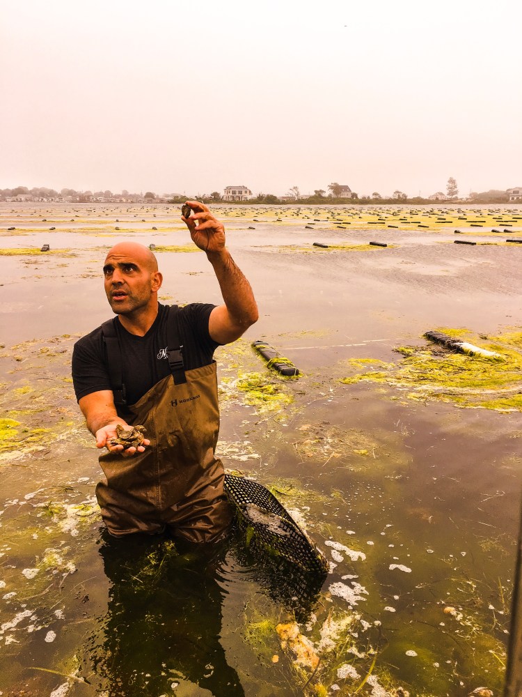 Perry Raso, owner of Matunuck Oyster Farm