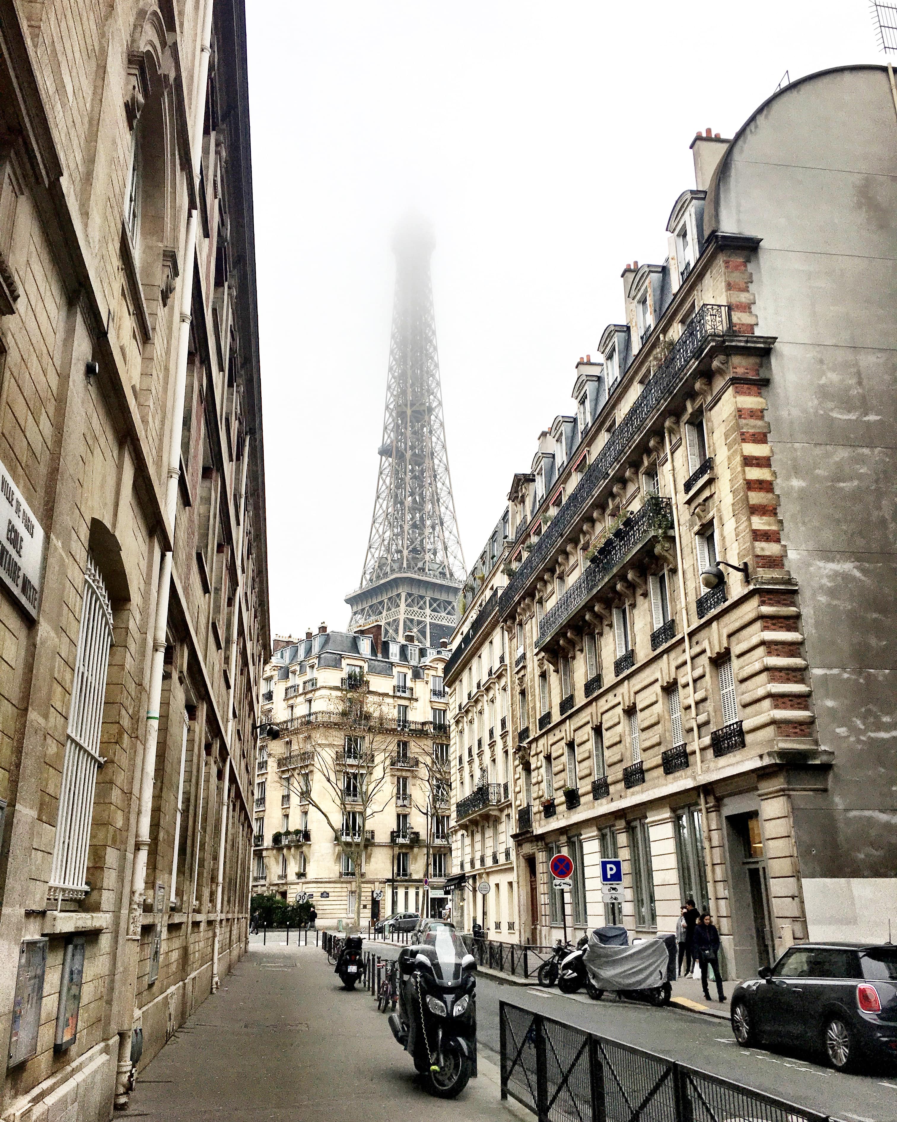 View of the Eiffel Tower and Haussmanian buildings in Paris, France
