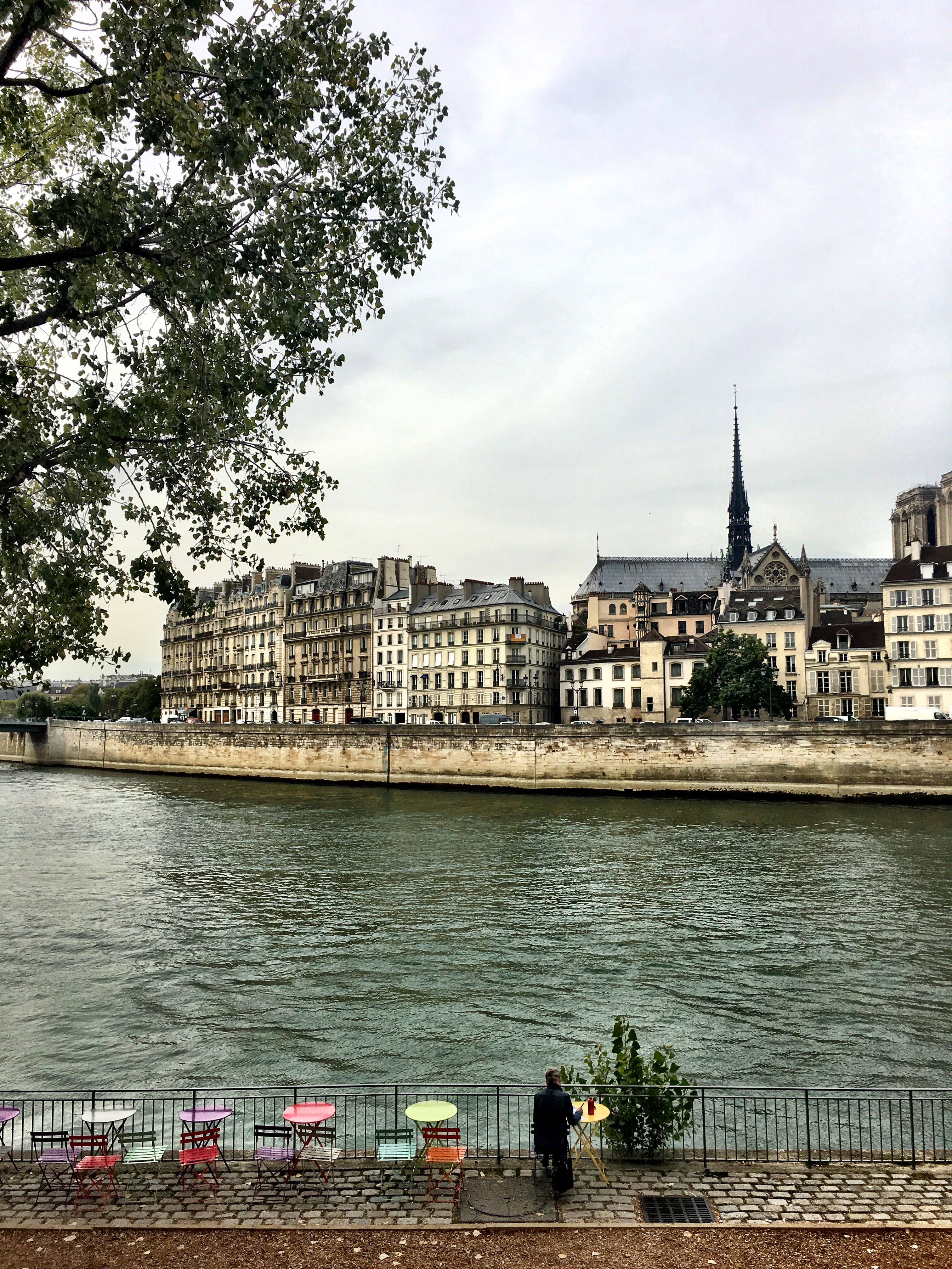 View of Île de la Cité in Paris, France