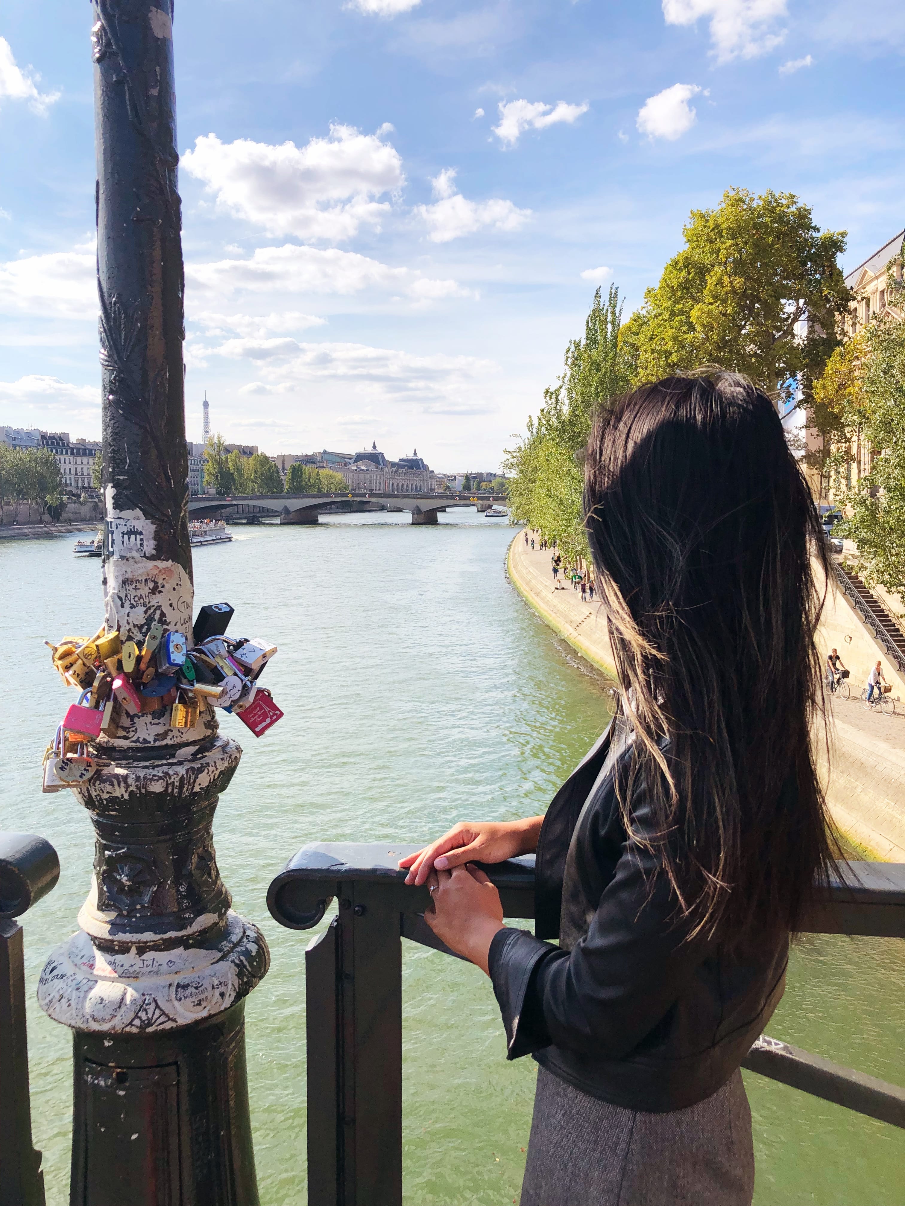 View of the Seine from Pont des Arts in Paris, France