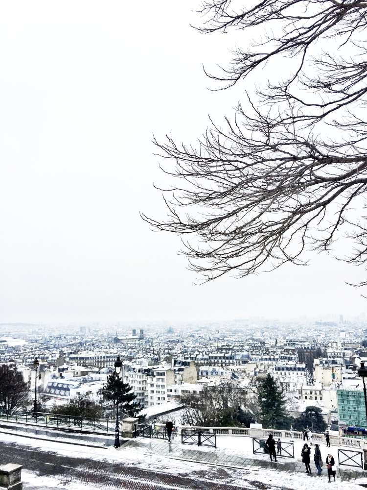 View of Paris from Montmartre