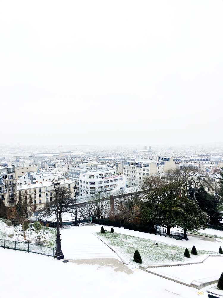 View of Paris from Montmartre winter