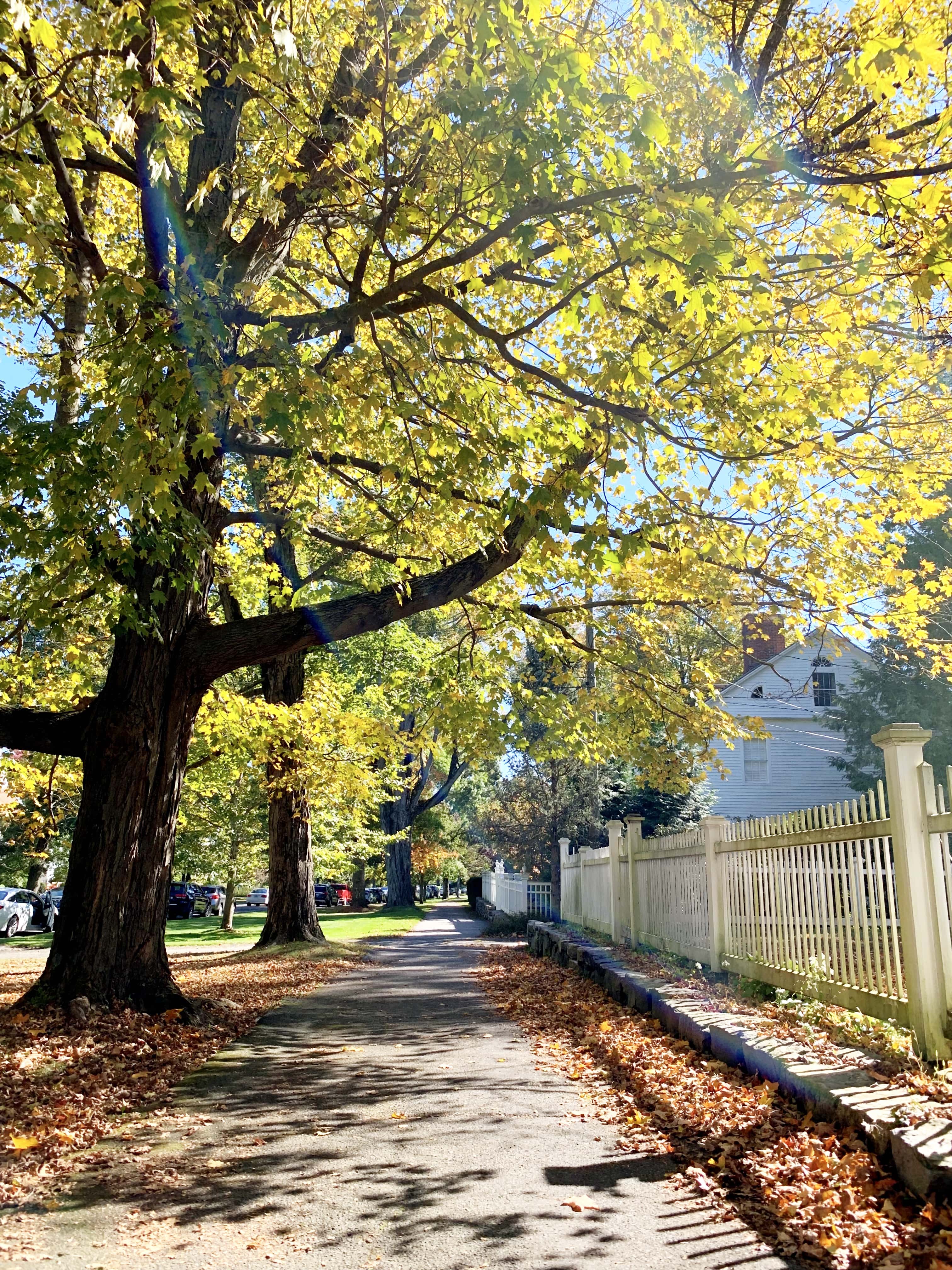 South Street Litchfield Connecticut