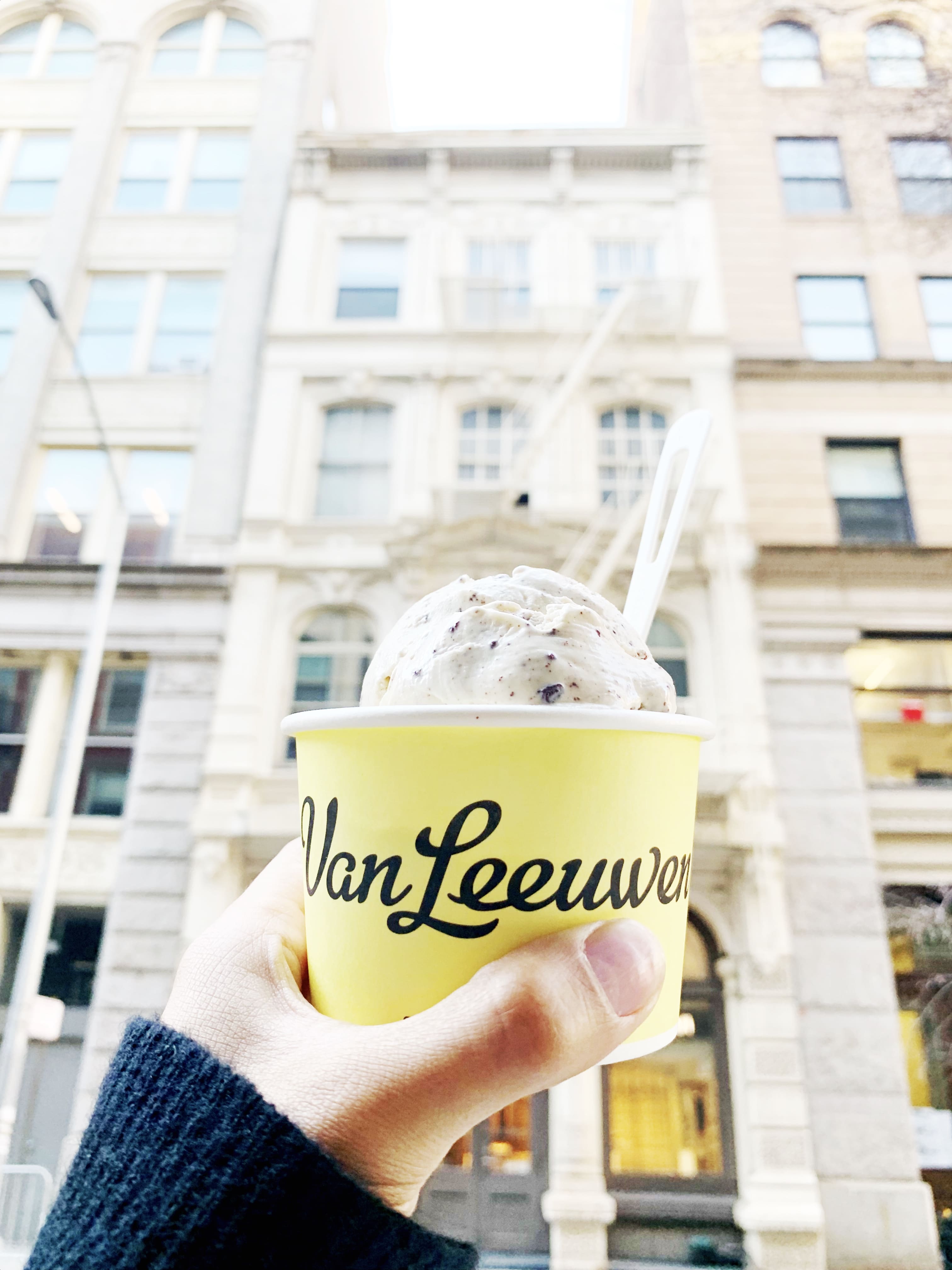 Van Leeuwen vegan ice cream