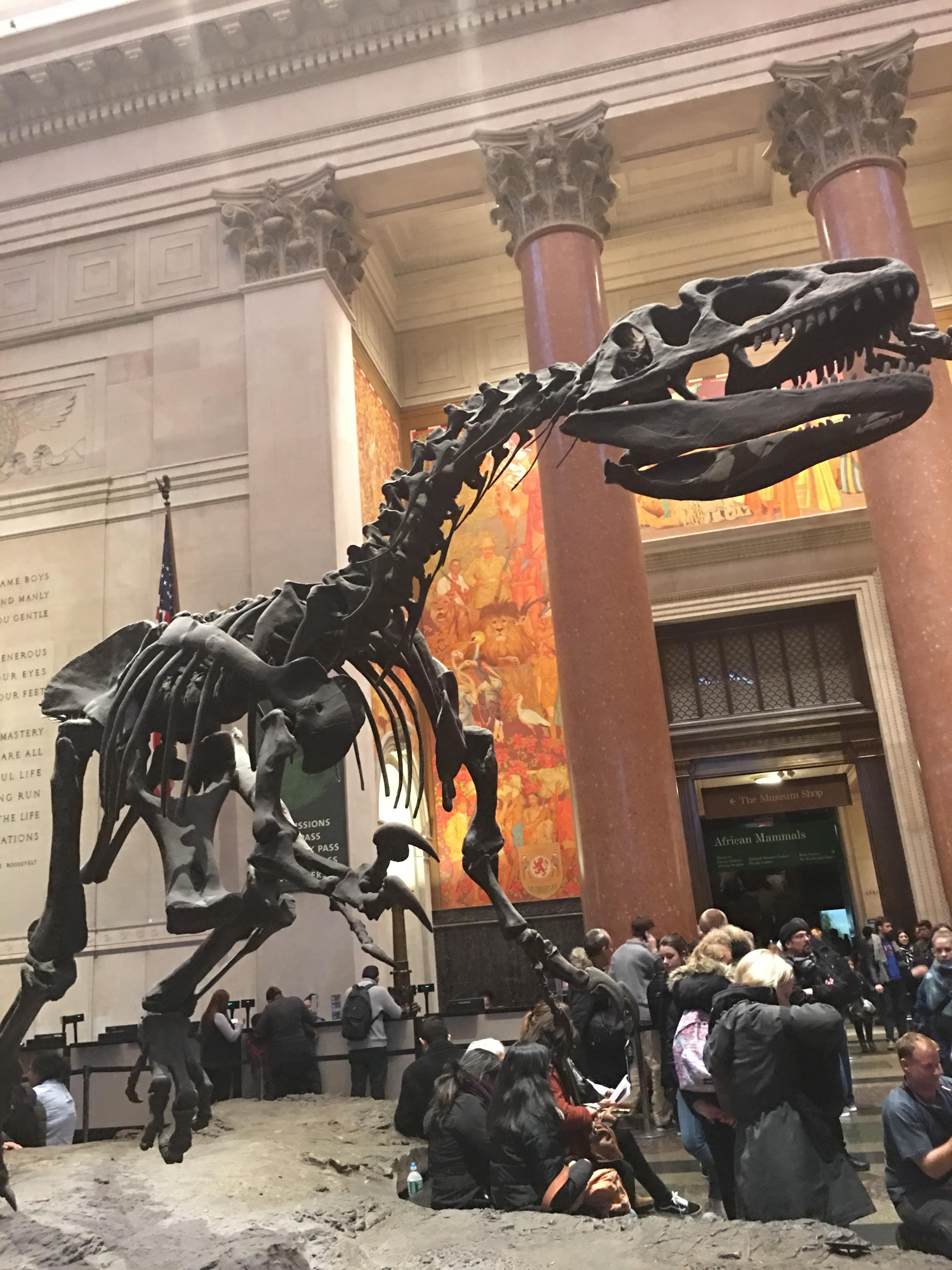 Museum of Natural History in New York City