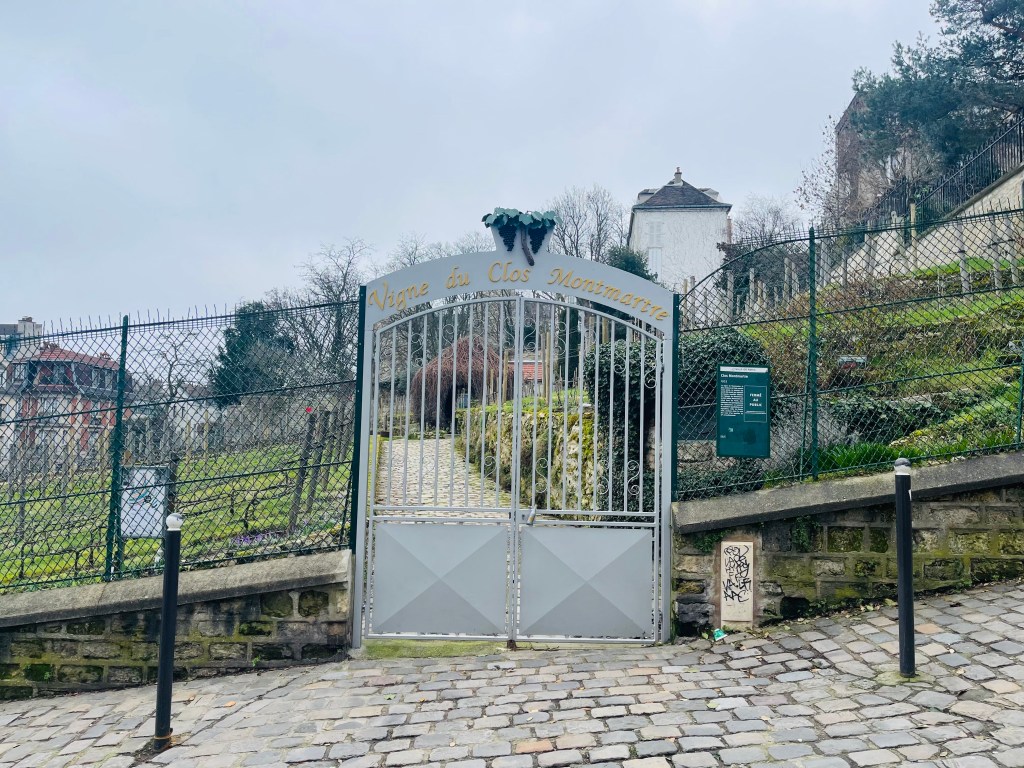 Vigne du Clos Montmartre in Paris, France