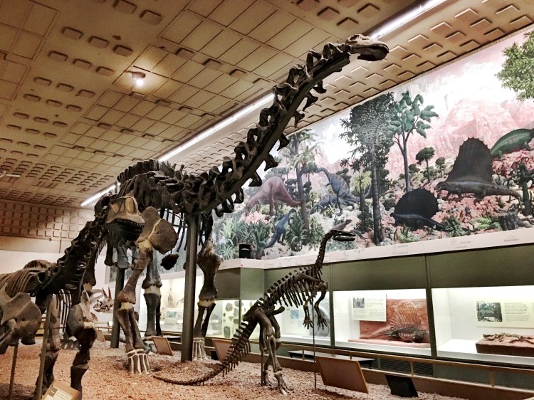 Yale Peabody Museum in New Haven, CT