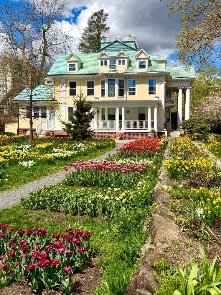 Colorblends House & Spring Garden in Bridgeport, CT