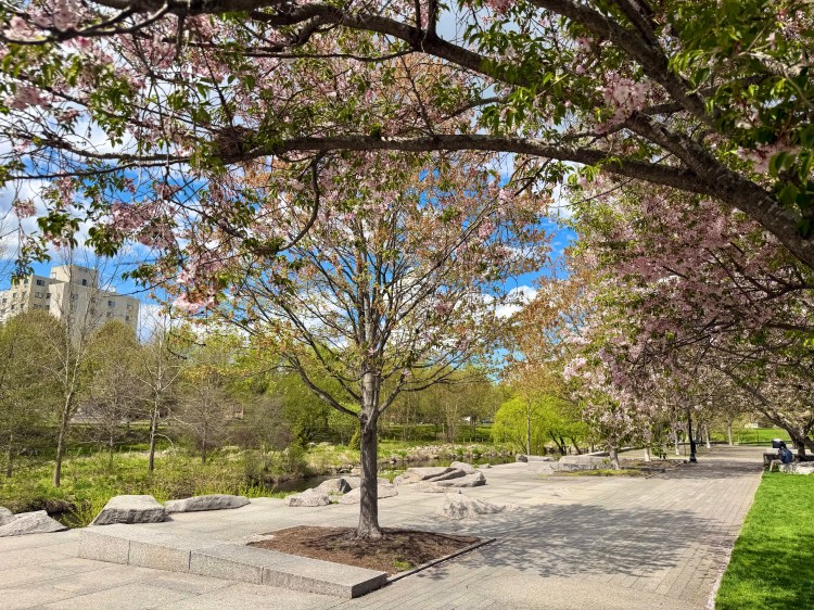 Mill River Park with river view in Stamford, CT