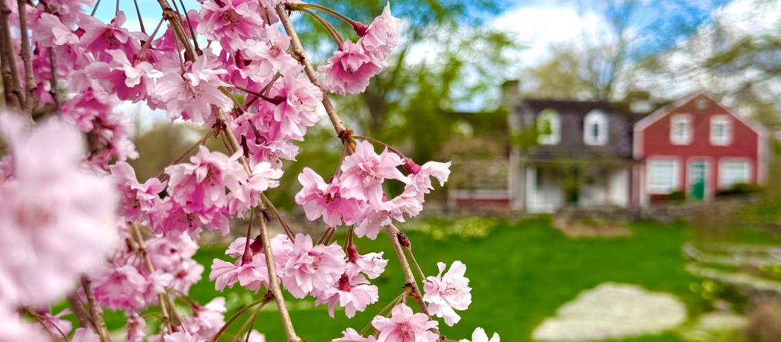 Weir Farm National Historical Park in Wilton, CT