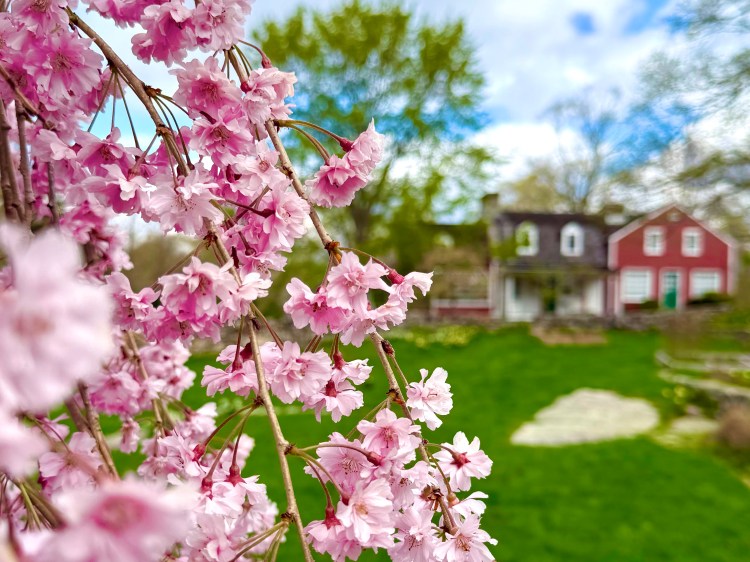Weir Farm National Historical Park in Wilton, CT