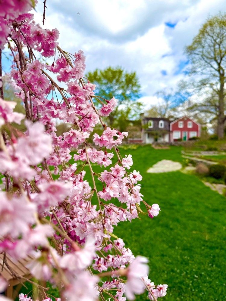 Weir Farm in Wilton, CT