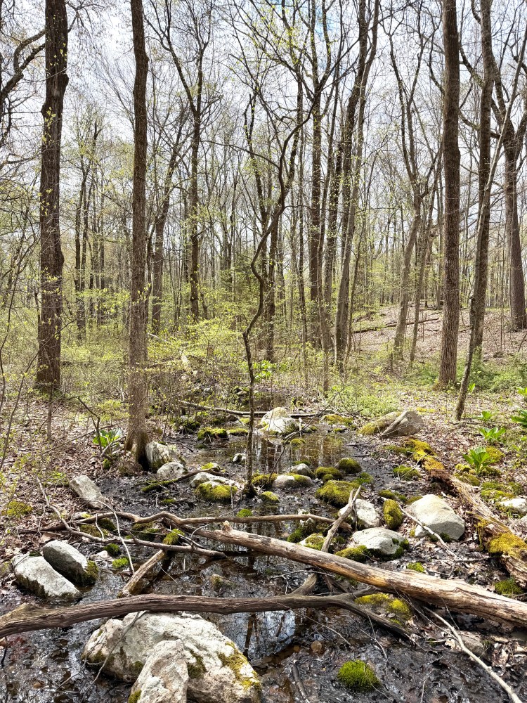 Weir Farm in Wilton CT