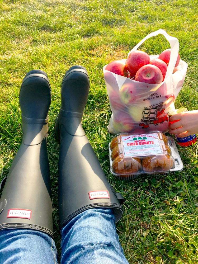 Apples and apple cider donuts at Blue Jay Orchards